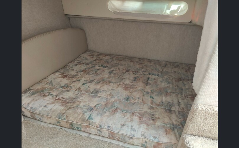 Bayliner 3055 Ciera-kuva-6